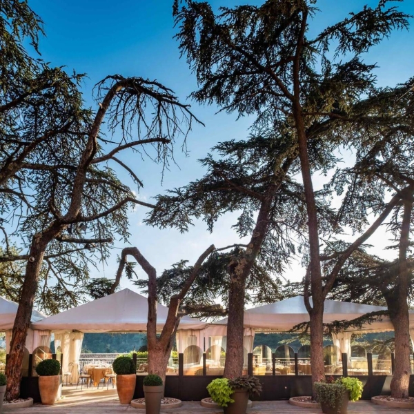 Repas de groupe - Chez M - Restaurant Balma - restaurant TOULOUSE